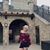 Bailey Koster's profile image