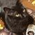 Elena Olivier Uildriks's profile image