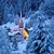 Tanya Schroeder Wegner's profile image