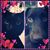Oralia Hernandez-Rivera's profile image