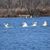 Susan Kirchner Fifer's profile image