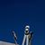 Rolf Grau's profile image