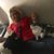 Rossella Casapollo's profile image