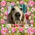Susan Jackson Jones's profile image