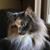 Randall Tupper's profile image