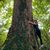 Denise Caselden Hagerman's profile image