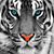 Mary Alice Curtiss Hurst's profile image