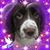 Brenda Heineman's profile image