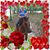 Terri Toney Craig's profile image