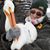 Laurie Stoyke Morgan's profile image
