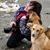 Nina Pritikin Zale's profile image