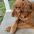 Linda Sklenar's profile image