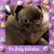 Narlene McNeill's profile image