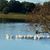 Karen Fifield Menor's profile image