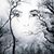 Lisa Maricondo's profile image