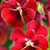Suzanne Bartlett's profile image