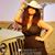 Carroll Lynn Willgren's profile image