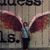 Melissa Kary's profile image