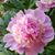 Kathy Bloch's profile image