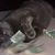 Louie Handler's profile image