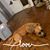 LeaRae Lewis's profile image