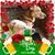 Julia Martin's profile image