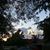 Cheri Phillips's profile image