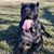 Jenny Harris's profile image