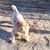 Teri Young's profile image