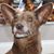Terri Dyer's profile image