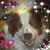 Michele Borzek's profile image