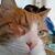 Ellen Klima Fedorchik's profile image