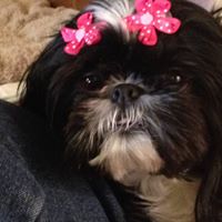 Brenda Anderson Hall's profile image