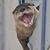 Steve Smith's profile image
