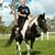 Donna Jewett's profile image