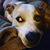 Miranda Bennett's profile image