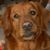 Robyn Watson's profile image