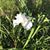 Mary Ann Dromey's profile image