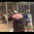 Peter Wilkie's profile image