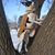 Bruiser Appling-McGhee's profile image