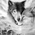 Sam Arcury's profile image