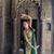 Uschi Gibson's profile image