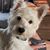 Loretta Marsh's profile image
