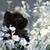 Cindy Lou Moler's profile image