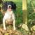 Tammy Quinn's profile image