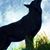 Erina Goff's profile image