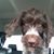 Heidi Wayne Funke's profile image
