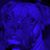 Judy Arendall Weimer's profile image