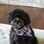 Sally Shelton's profile image