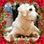 Javier Rincon's profile image